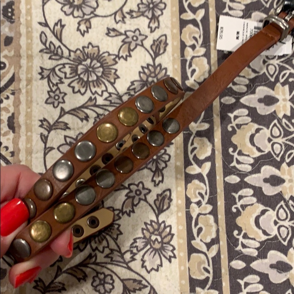 NWT Express Tan Belt Medium